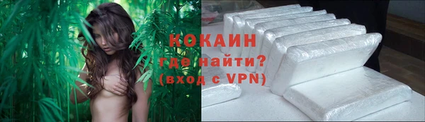 spice Осинники