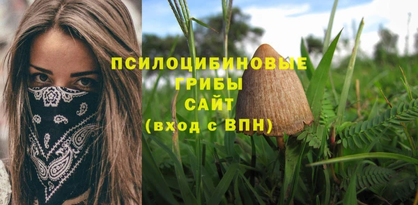 эйфоретик Осташков